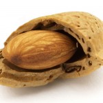 Almond_nut