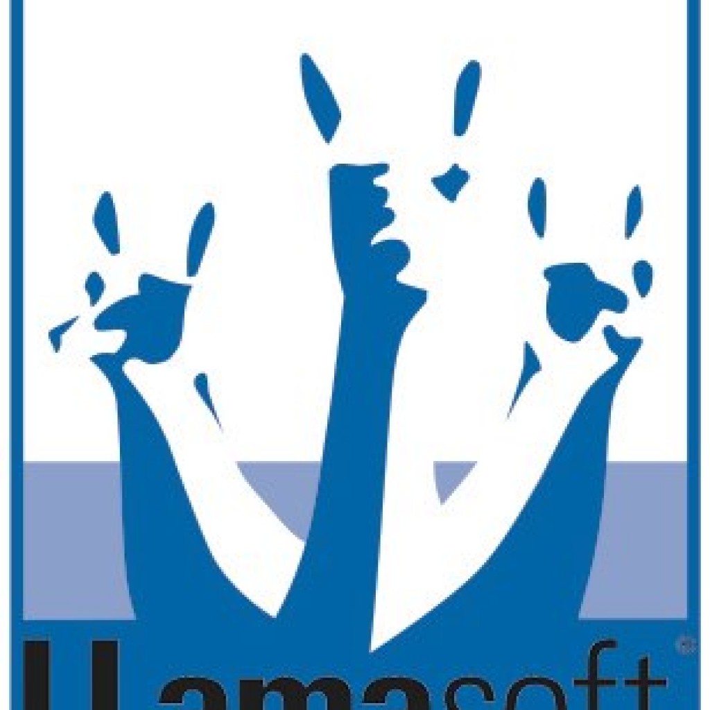 Deloitte, LLamasoft Partnering To Provide SCM Solutions